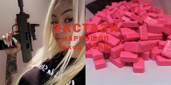 ECSTASY Няндома