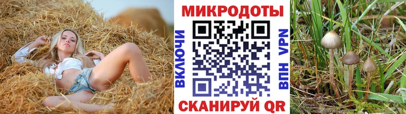 Галлюциногенные грибы Psilocybine cubensis  Купить где  Десногорск 